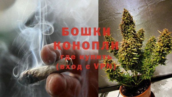 стаф Осташков