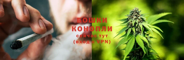 стаф Осташков