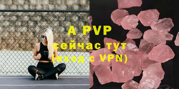 стаф Осташков