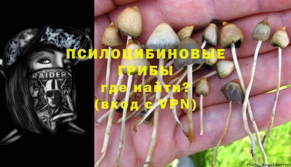 стаф Осташков