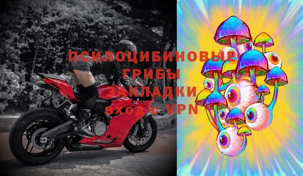 СК Осинники