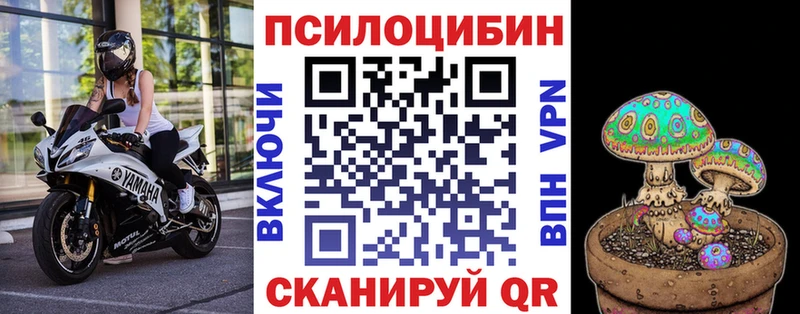 Галлюциногенные грибы прущие грибы  Дербент 